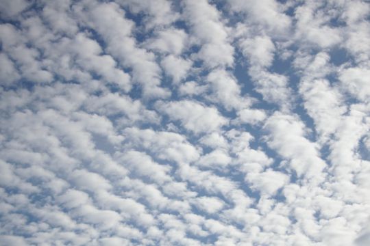 Les nuages sont-ils un milieu stérile ?