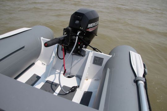 Quicksilver 320 Alu-Rib