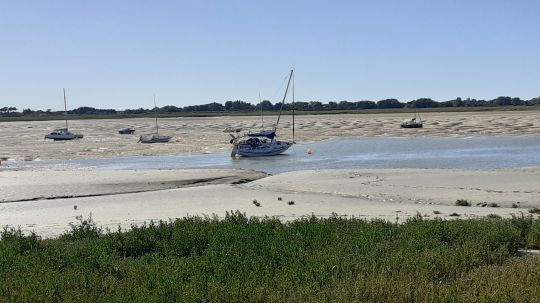 Les ondulations de sable dues au courant.