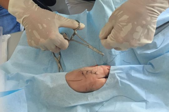 Atelier Pratique de suture