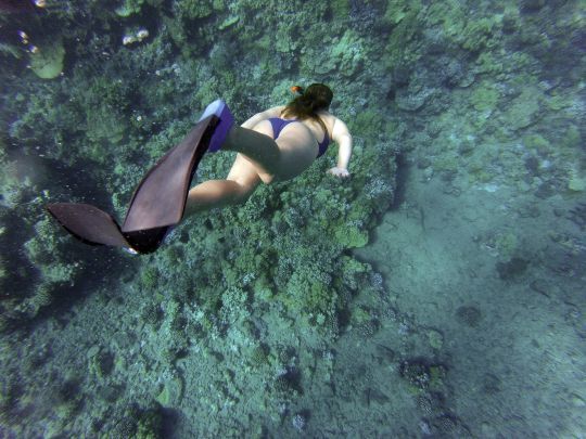 Snorkeling sous l'eau