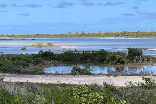 Etangs sur l'île d'Anegada