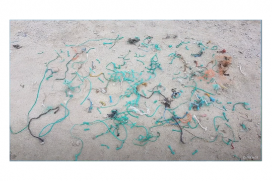 Des déchets de filet de pêche sur les plages