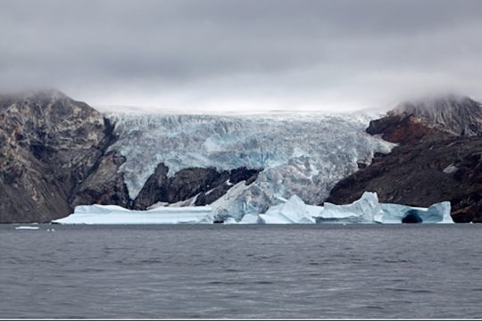 Les glaciers du Groenland vêlent de nombreux icebergs