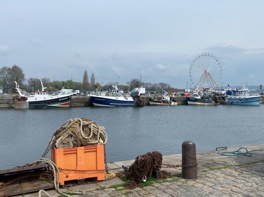 La flotte des bateaux de pêche du port auprès desquels vous pouvez acheter en direct vos poissons