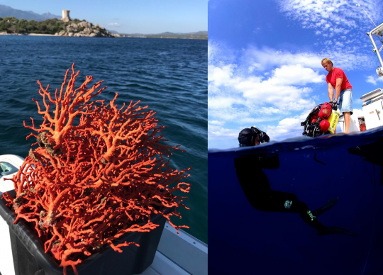 Récolte d'une plongée © corail-rouge.com