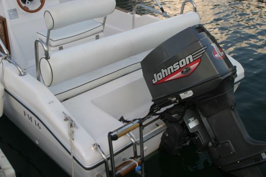 Older two-stroke carburetor engines can easily support mineral oil.