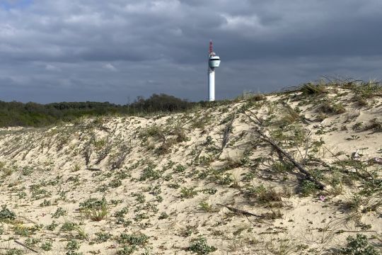 sémaphore de Messange, le plus haut de France (83 m)