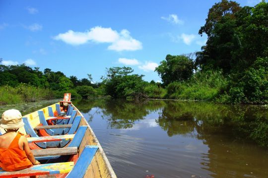 La jungle tropicale en pirogue