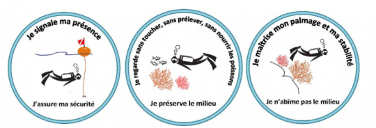 Attitude à adopter en plongée, snorkeling, et chasse sous-marine © Syndicat mixte de la Ria d'Etel