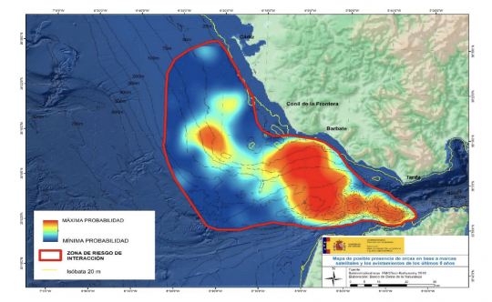 Carte de présence possible d'épaulards basée sur des marques et observations satellites au cours des 5 dernières années dans le golfe de Cadix