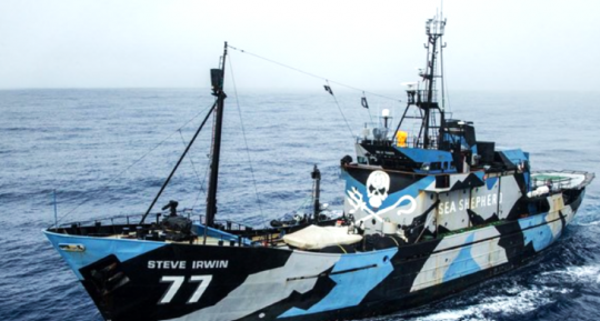 MV Steve Irwin