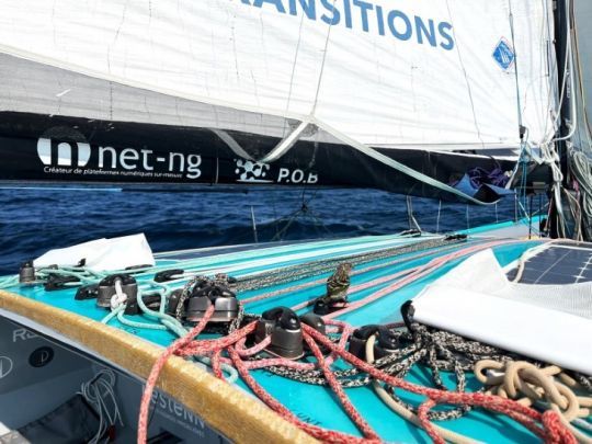 Des oiseaux s'invitent sur le bateau aux abords de Terre-Neuve