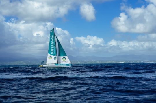 Arrivée de la Route du Rhum 202 © Magalie Morin