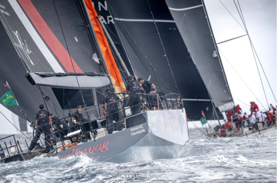 Scallywag 100 vainqueur de la Rolex Middle Race 2024