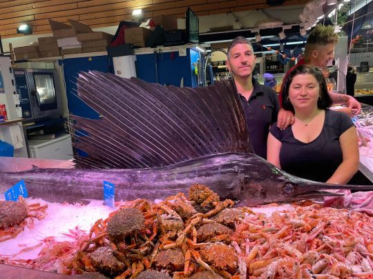 Ce poisson voilier attire les curieux au marché de Concarneau