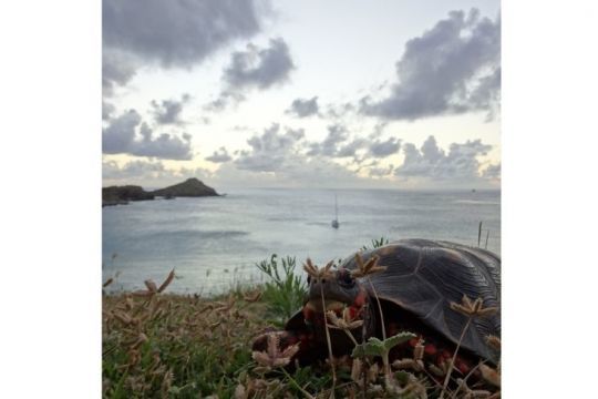 Anse du Colombier © The Navigation Family