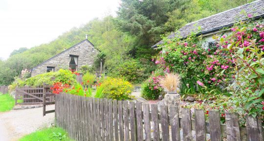 Adorables cottages