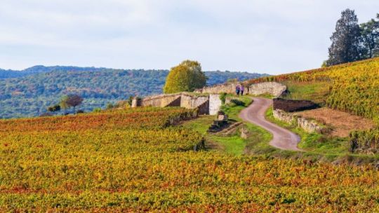 La Bourgogne &copy; Bourgogne Tourisme