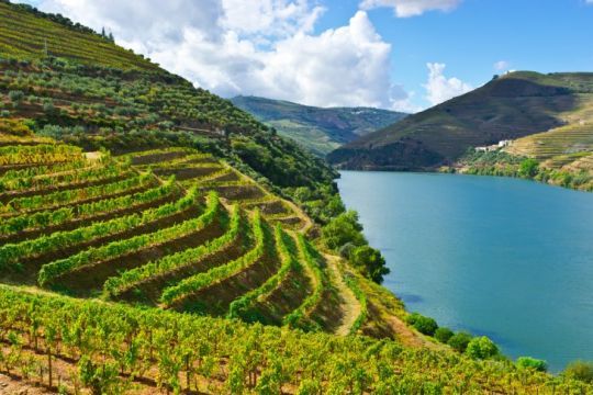 Porto et la vall&eacute;e du Douro &copy; Nirva Travel