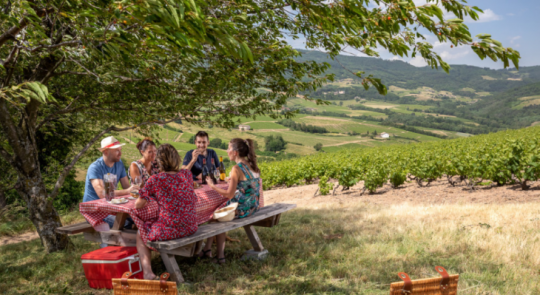 Pique-nique dans les vignes du Beaujolais &copy; Destination Beaujolais
