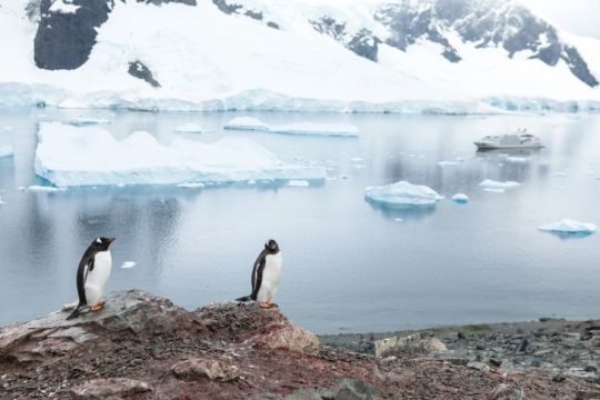 Antarctique © Margot Sib