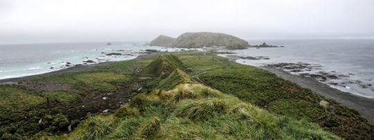 Île Macquarie © Margot Sib