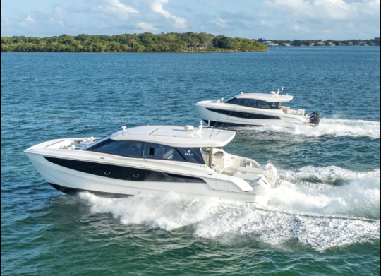 Les Aquila 42 et 46 Coup&eacute;
