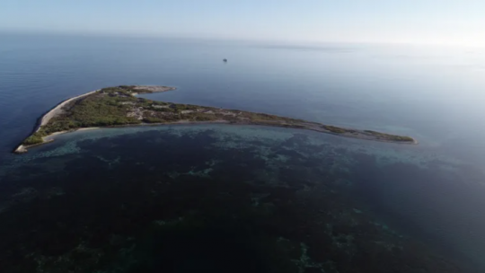 Vue aérienne de Beacon Island, une des îles de l'archipel des Abrolhos © Australia Research Council