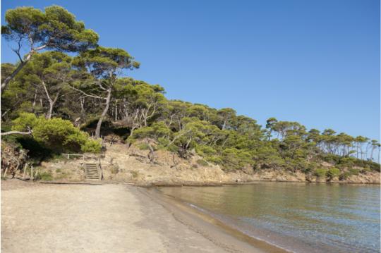 La plage Notre Dame à Porquerolles