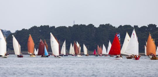 Voile aviron &copy; Jean-Marie Liot