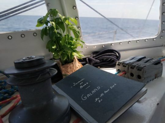 Le plaisir de reprendre la rédaction du journal de bord