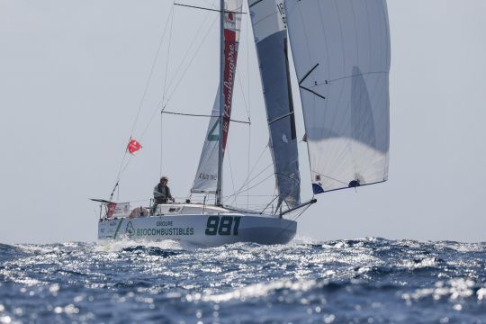 &copy;Vincent Olivaud