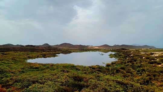Lagune d'eau saum&acirc;tre