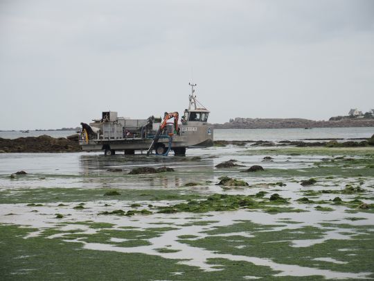 &copy;Maxime Leriche