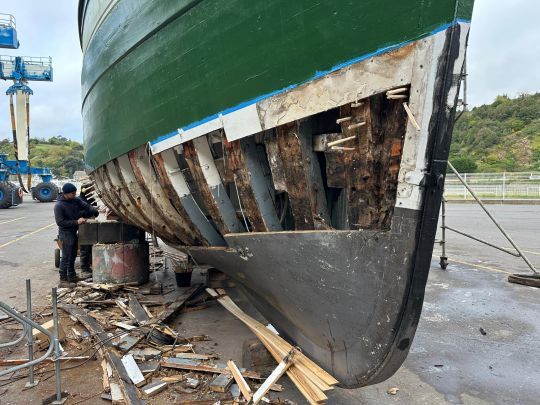 &copy;Le Grand L&eacute;jon