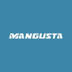 Mangusta - Overmarine Group Usa