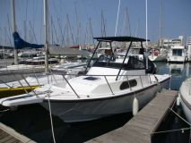 Boston Whaler 23 WA