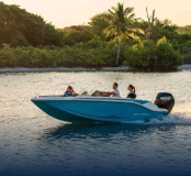 Bayliner M17