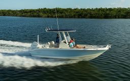 Boston Whaler 220 Dauntless