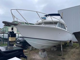 Bertram 28 Flybridge