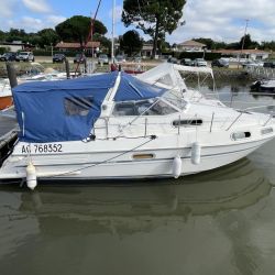 Ambassador 285