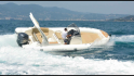 Tempest 800 de Four Winns