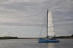 Pogo 30 de Neptune