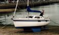 Bi-Loup 77 NV de Fora Marine