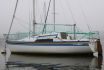 Kelt 707 de Jeremy Rogers
