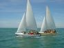 Caravelle (Herbulot) de