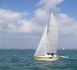 Serpentaire de Neptune