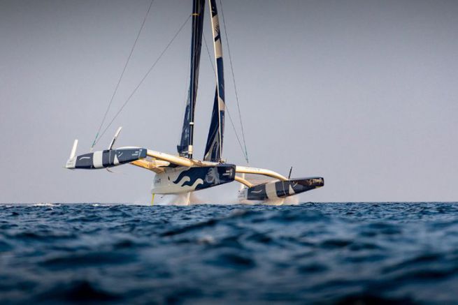 dimension trimaran ultime