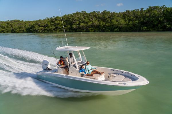 Le Boston Whaler 250 Dauntless est rapide, amusant et polyvalent